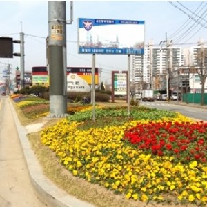 사진크게 보기