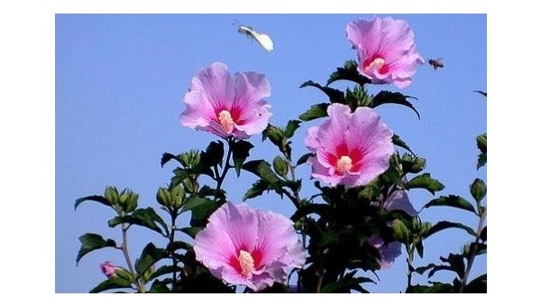 사진크게 보기