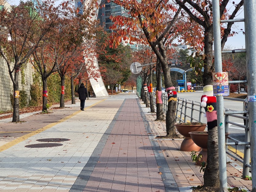 21일 구갈동 나무 뜨게옷 (2).jpg