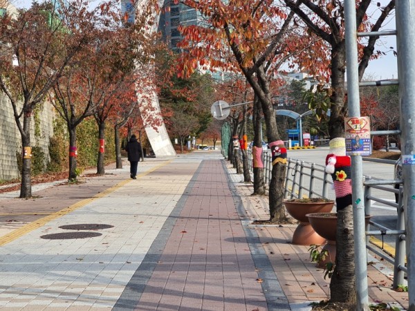 21일 구갈동 나무 뜨게옷 (2).jpg