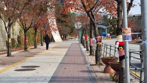 21일 구갈동 나무 뜨게옷 (2).jpg