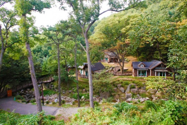 (사진) 용인자연휴양림.jpg