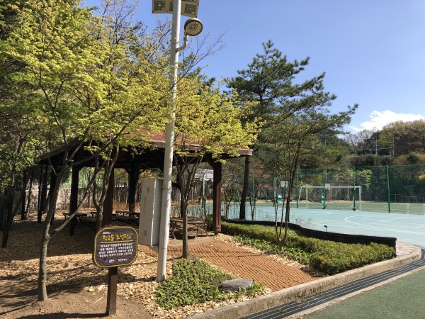 (사진) 포곡읍 영문중 학교숲 조성.jpeg