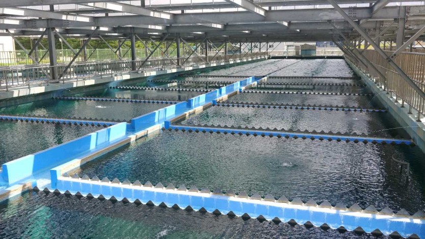 용인정수장1.jpg