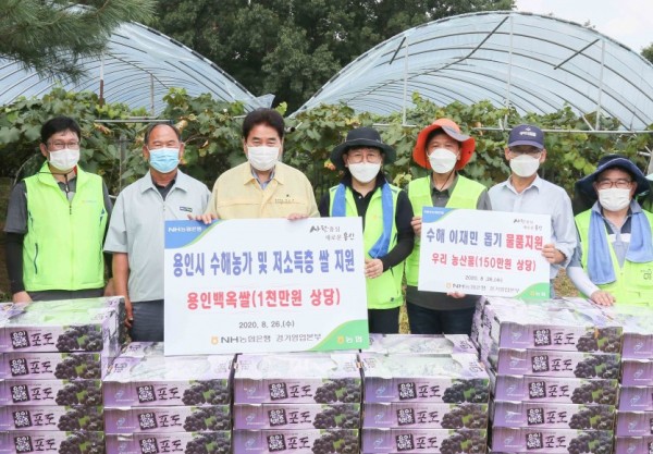 농협 경기지역본부 농촌일손돕기 (1).JPG