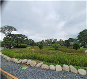 4.숲속공장+조성사진2.png
