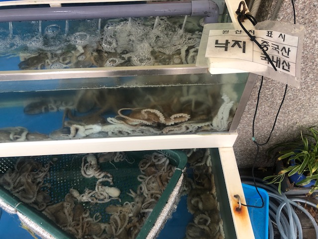 1.혼동표시.jpg