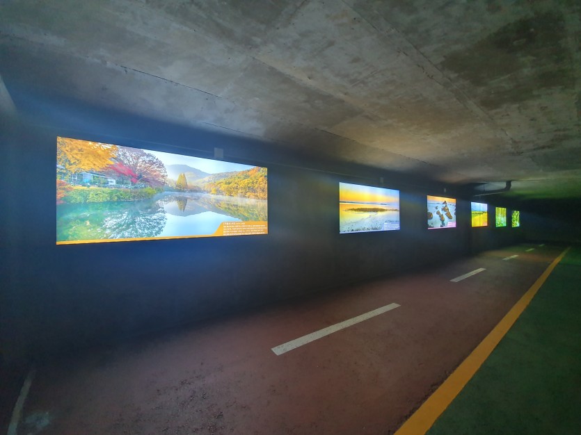 언동1교 벽화 설치 후 (1).jpg