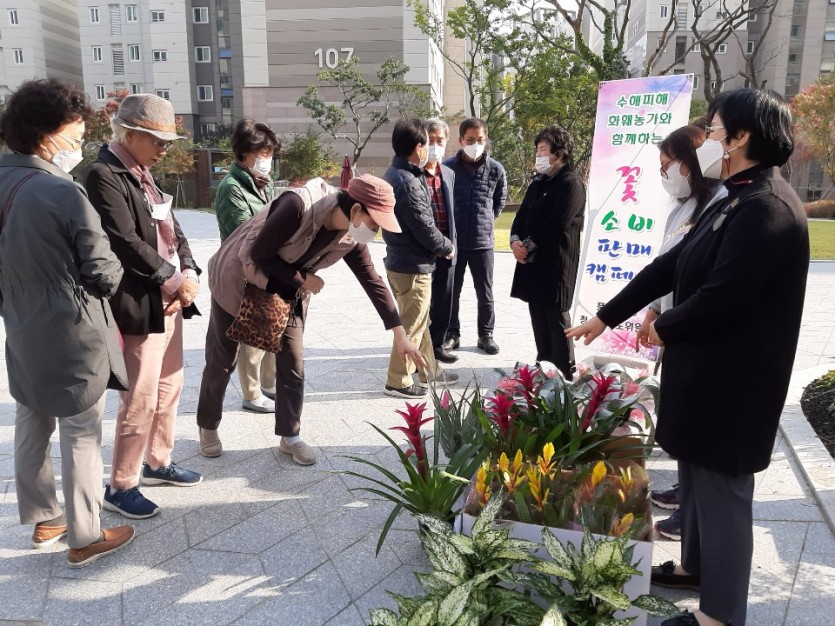 [사진]풍덕천1동, 화훼농가지원2.jpg