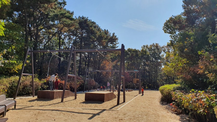 1603946146054-2.jpg