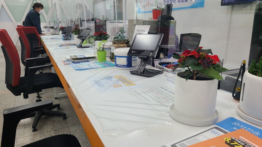 23일 화분 200개 비치 (2).jpg