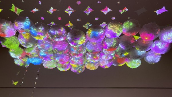 1. 김창겸 배수영 합작(콜라보 작품)_디지털 가든(Digital Garden).jpg