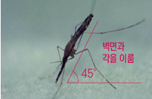 b406575b7973f5634fa8bd2ff9c9f54e_1637013323_0881.png