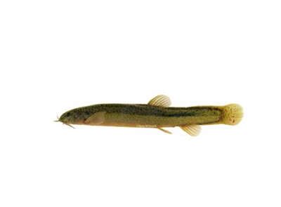 eae52c1389adcb2983c883d65120f3b3_1647470860_6233.JPG