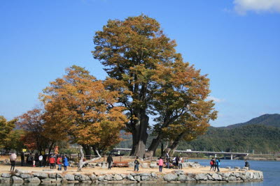 a187dc725dfe767273cc37a363a65f1a_1709851899_2825.jpg