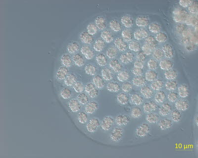 af698ebfea840ad7cd00b5ab3d582979_1713307220_5124.jpg