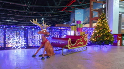 b6cb6d3674da4364610b944e6185f1d1_1722933478_2201.jpg