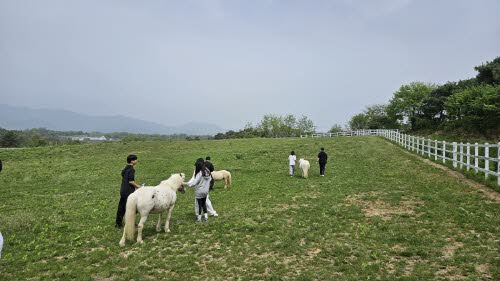 d01ddfd521eba4ff5d7bebfd152b1986_1725264564_9765.jpg