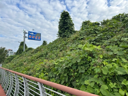 4617dc3b2359d8b6b843c557960c4e46_1732063948_3495.jpeg