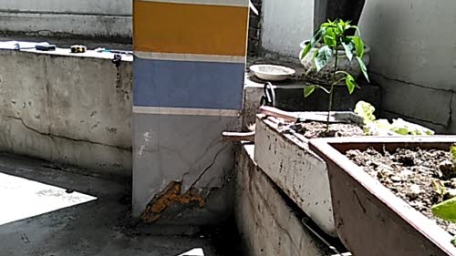 c5cee9eecd36c4f3f8555f5ed222c327_1737241650_835.jpeg