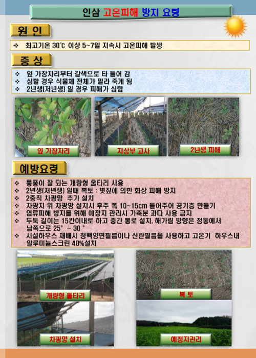 d5021b0eed65a80502c4cc98e1d9964d_1751411345_5894.png
