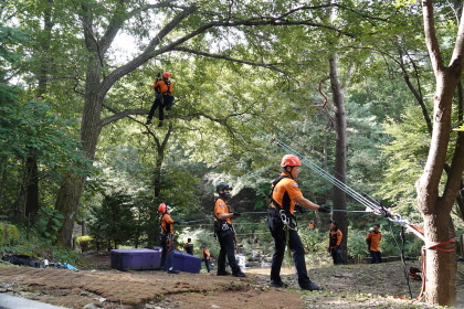 2561ffa5aed0d58c52f94d78d5b49403_1758721013_3871.JPG