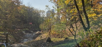 [크기변환]1-1. 용인특례시가 수지구 죽전동에 조성한 '도시 숲' 모습.jpg
