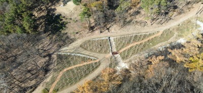 [크기변환]1-2. 용인특례시가 수지구 죽전동에 조성한 '도시 숲' 모습.JPG