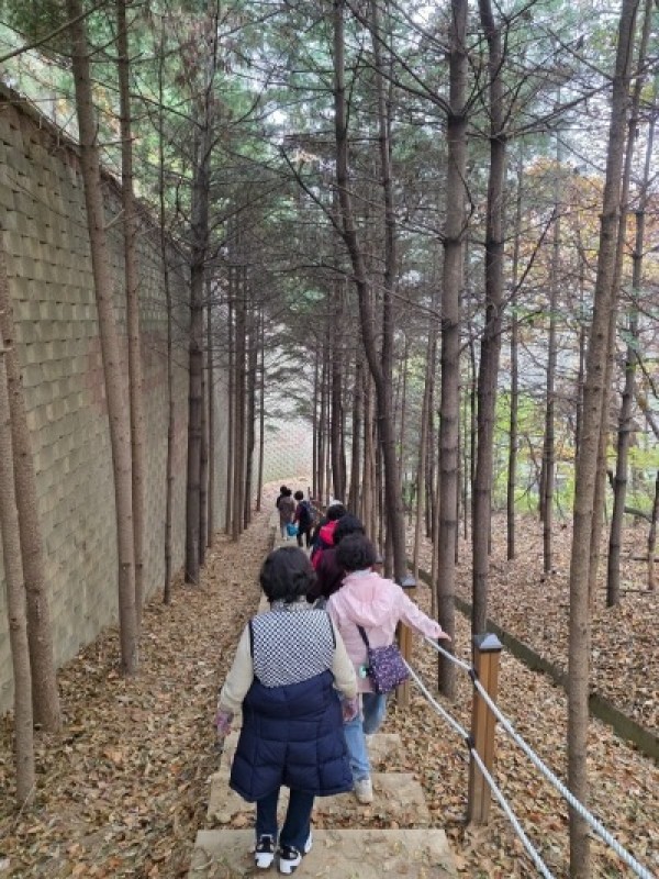 [크기변환]2. 용인특례시 보건소 건강걷기 프로그램에 참여 중인 시민들.jpg